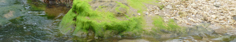 manuelle lymphdrainage